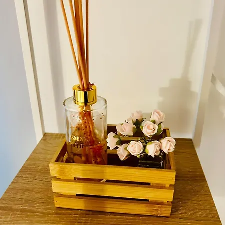 Apartment Duplex Climatise Centre Historique - 3 Guests Nimes